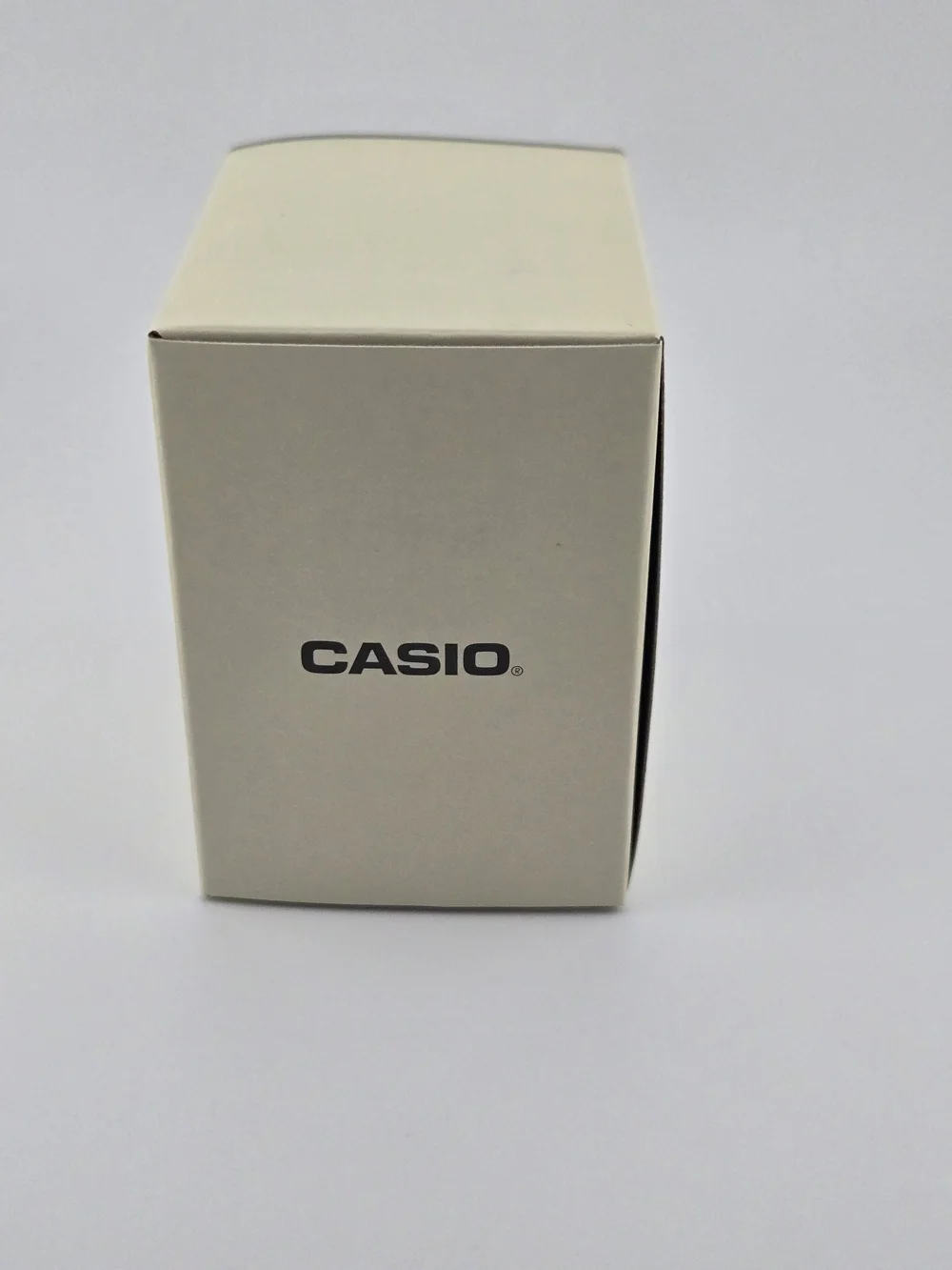Casio stainless steel